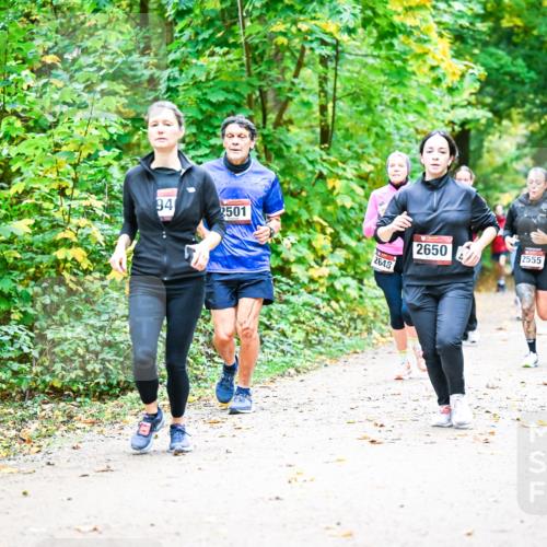 12.10.2025 - Bramfelder Halbmarathon 2025 Dr. Thomas Lammeyer http://msf.ph/oto/9343313 12.10.2025 09:58:05 Laufen 940, 2501, 2650, 2555, 2648 meine-sportfotos.de