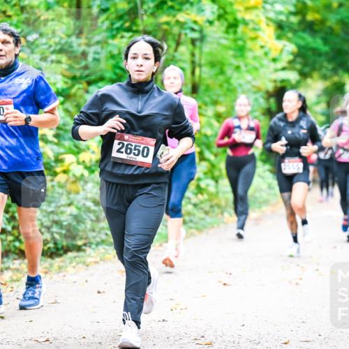 12.10.2025 - Bramfelder Halbmarathon 2025 Dr. Thomas Lammeyer http://msf.ph/oto/9343322 12.10.2025 09:58:07 Laufen 250, 2650, 2555 meine-sportfotos.de