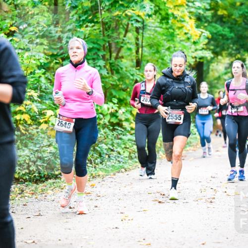 12.10.2025 - Bramfelder Halbmarathon 2025 Dr. Thomas Lammeyer http://msf.ph/oto/9343327 12.10.2025 09:58:08 Laufen 2650, 2648, 287, 2555 meine-sportfotos.de