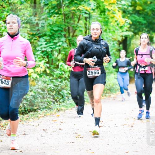 12.10.2025 - Bramfelder Halbmarathon 2025 Dr. Thomas Lammeyer http://msf.ph/oto/9343331 12.10.2025 09:58:08 Laufen 2648, 2555 meine-sportfotos.de