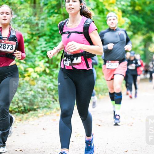 12.10.2025 - Bramfelder Halbmarathon 2025 Dr. Thomas Lammeyer http://msf.ph/oto/9343345 12.10.2025 09:58:10 Laufen 2873, 84, 2564 meine-sportfotos.de