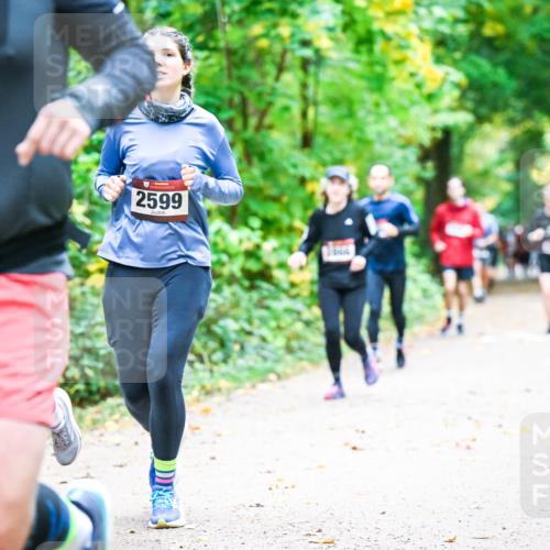 12.10.2025 - Bramfelder Halbmarathon 2025 Dr. Thomas Lammeyer http://msf.ph/oto/9343360 12.10.2025 09:58:13 Laufen 2564, 2599 meine-sportfotos.de