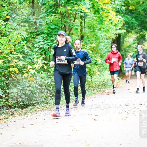 12.10.2025 - Bramfelder Halbmarathon 2025 Dr. Thomas Lammeyer http://msf.ph/oto/9343368 12.10.2025 09:58:14 Laufen 2860, 2748, 2569, 2743 meine-sportfotos.de