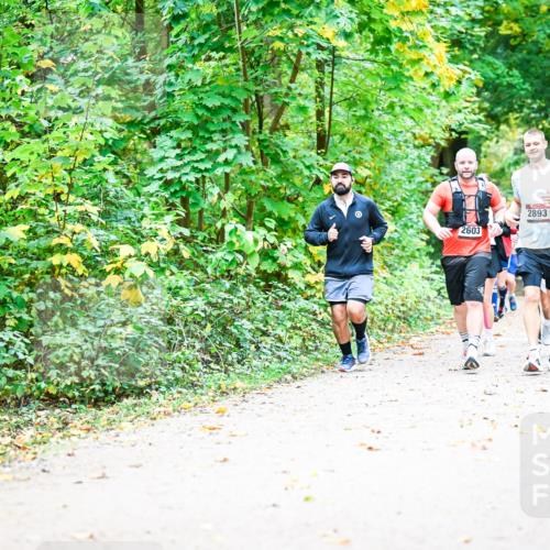 12.10.2025 - Bramfelder Halbmarathon 2025 Dr. Thomas Lammeyer http://msf.ph/oto/9343471 12.10.2025 09:58:31 Laufen 2603, 2893 meine-sportfotos.de