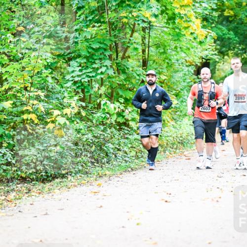 12.10.2025 - Bramfelder Halbmarathon 2025 Dr. Thomas Lammeyer http://msf.ph/oto/9343473 12.10.2025 09:58:31 Laufen 2603, 2893, 2475 meine-sportfotos.de