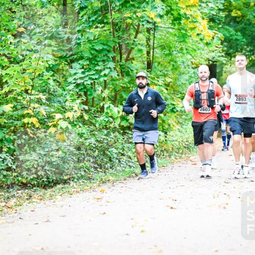 12.10.2025 - Bramfelder Halbmarathon 2025 Dr. Thomas Lammeyer http://msf.ph/oto/9343476 12.10.2025 09:58:32 Laufen 2603, 2893 meine-sportfotos.de
