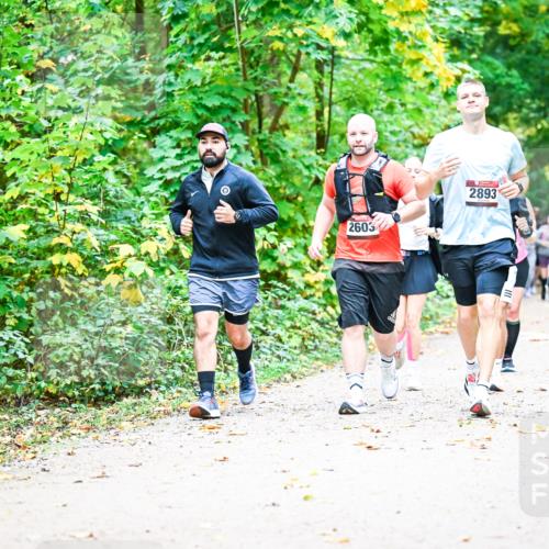 12.10.2025 - Bramfelder Halbmarathon 2025 Dr. Thomas Lammeyer http://msf.ph/oto/9343484 12.10.2025 09:58:33 Laufen 2603, 2893 meine-sportfotos.de