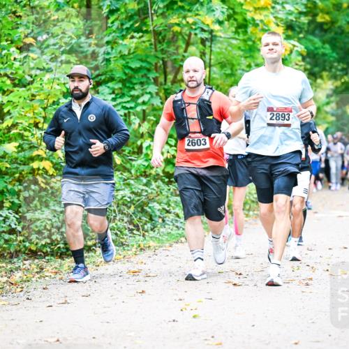 12.10.2025 - Bramfelder Halbmarathon 2025 Dr. Thomas Lammeyer http://msf.ph/oto/9343488 12.10.2025 09:58:34 Laufen 2603, 2893 meine-sportfotos.de