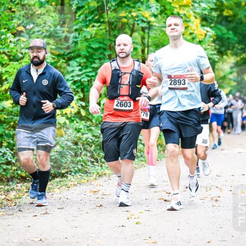 12.10.2025 - Bramfelder Halbmarathon 2025 Dr. Thomas Lammeyer http://msf.ph/oto/9343491 12.10.2025 09:58:34 Laufen 2603, 79, 2893 meine-sportfotos.de