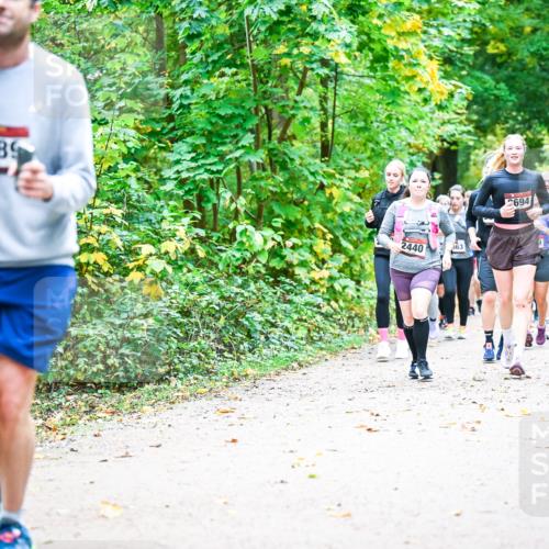 12.10.2025 - Bramfelder Halbmarathon 2025 Dr. Thomas Lammeyer http://msf.ph/oto/9343527 12.10.2025 09:58:43 Laufen 2789, 2440, 563, 2694, 2816 meine-sportfotos.de