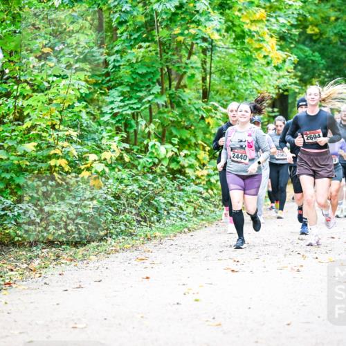 12.10.2025 - Bramfelder Halbmarathon 2025 Dr. Thomas Lammeyer http://msf.ph/oto/9343531 12.10.2025 09:58:43 Laufen 89, 2440, 2663, 2694, 2816 meine-sportfotos.de