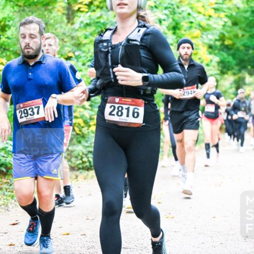 12.10.2025 - Bramfelder Halbmarathon 2025 Dr. Thomas Lammeyer http://msf.ph/oto/9343577 12.10.2025 09:58:52 Laufen 2937, 2816, 2949 meine-sportfotos.de