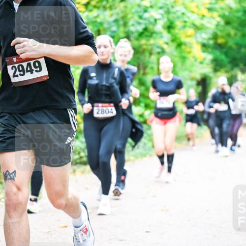 12.10.2025 - Bramfelder Halbmarathon 2025 Dr. Thomas Lammeyer http://msf.ph/oto/9343589 12.10.2025 09:58:54 Laufen 2949, 2804 meine-sportfotos.de