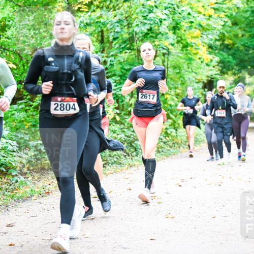 12.10.2025 - Bramfelder Halbmarathon 2025 Dr. Thomas Lammeyer http://msf.ph/oto/9343590 12.10.2025 09:58:54 Laufen 2805, 2804, 2617, 2722, 2682, 2767 meine-sportfotos.de