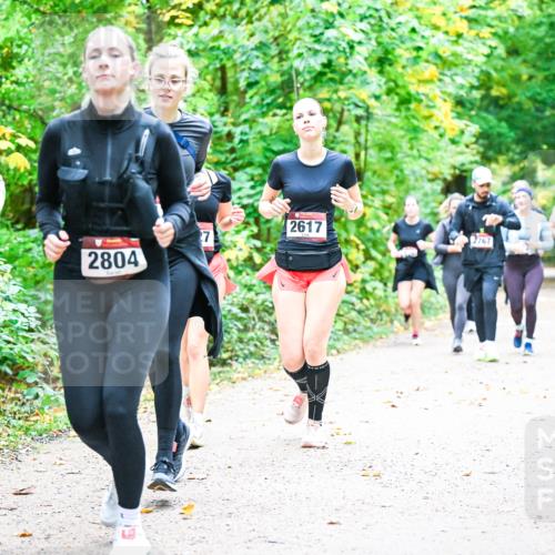 12.10.2025 - Bramfelder Halbmarathon 2025 Dr. Thomas Lammeyer http://msf.ph/oto/9343591 12.10.2025 09:58:54 Laufen 2805, 2617, 7, 2767, 2804 meine-sportfotos.de