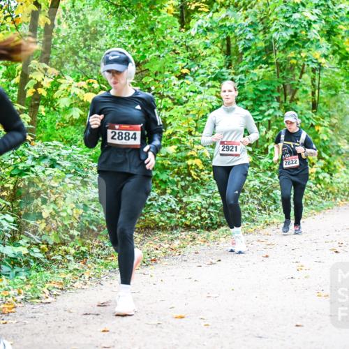 12.10.2025 - Bramfelder Halbmarathon 2025 Dr. Thomas Lammeyer http://msf.ph/oto/9343630 12.10.2025 09:59:02 Laufen 2742, 2884, 2921, 2822 meine-sportfotos.de