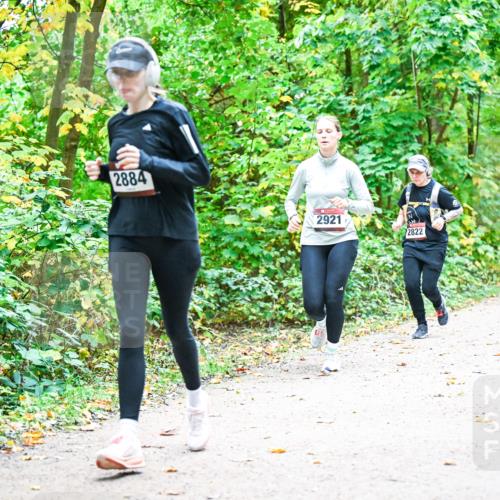 12.10.2025 - Bramfelder Halbmarathon 2025 Dr. Thomas Lammeyer http://msf.ph/oto/9343632 12.10.2025 09:59:02 Laufen 2884, 2921, 2822 meine-sportfotos.de