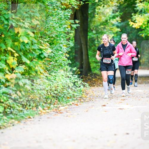 12.10.2025 - Bramfelder Halbmarathon 2025 Dr. Thomas Lammeyer http://msf.ph/oto/9343659 12.10.2025 09:59:22 Laufen 2943, 2820, 2819 meine-sportfotos.de