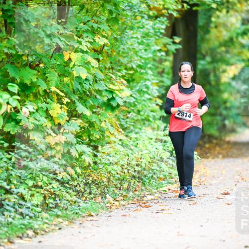 12.10.2025 - Bramfelder Halbmarathon 2025 Dr. Thomas Lammeyer http://msf.ph/oto/9343846 12.10.2025 10:00:59 Laufen 2914 meine-sportfotos.de