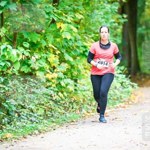 12.10.2025 - Bramfelder Halbmarathon 2025 Dr. Thomas Lammeyer http://msf.ph/oto/9343857 12.10.2025 10:01:01 Laufen 2914 meine-sportfotos.de