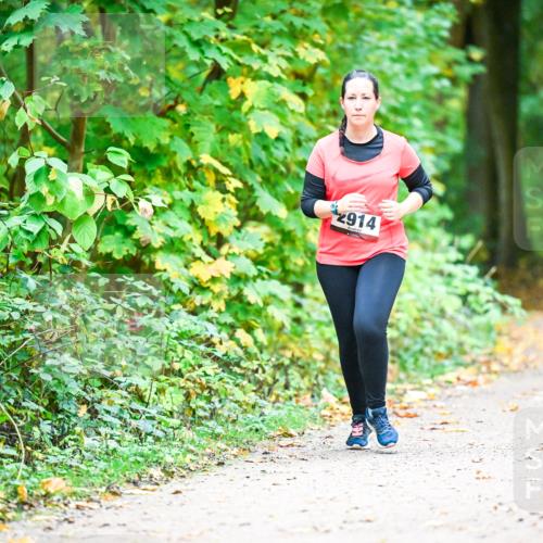 12.10.2025 - Bramfelder Halbmarathon 2025 Dr. Thomas Lammeyer http://msf.ph/oto/9343861 12.10.2025 10:01:01 Laufen 914 meine-sportfotos.de