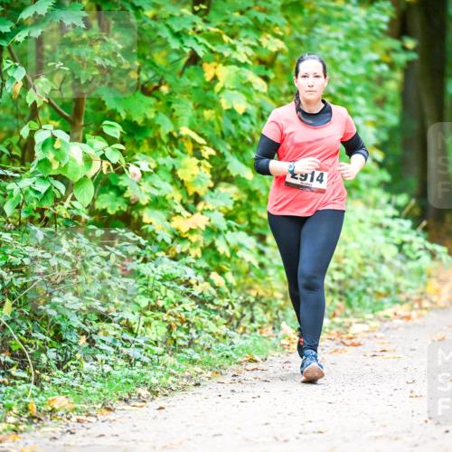 12.10.2025 - Bramfelder Halbmarathon 2025 Dr. Thomas Lammeyer http://msf.ph/oto/9343862 12.10.2025 10:01:01 Laufen 914 meine-sportfotos.de