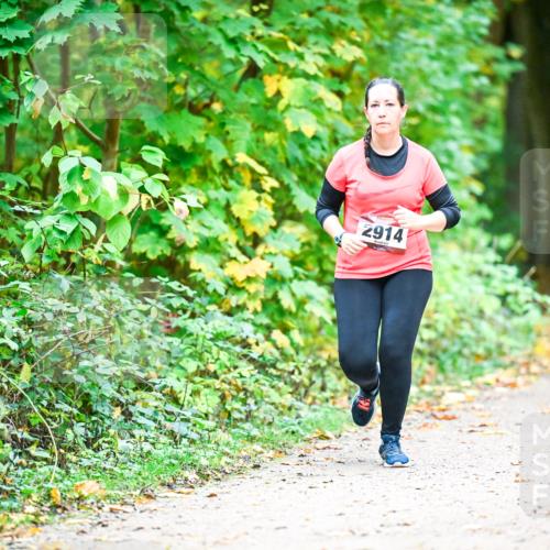 12.10.2025 - Bramfelder Halbmarathon 2025 Dr. Thomas Lammeyer http://msf.ph/oto/9343863 12.10.2025 10:01:02 Laufen 2914 meine-sportfotos.de