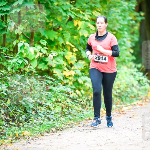 12.10.2025 - Bramfelder Halbmarathon 2025 Dr. Thomas Lammeyer http://msf.ph/oto/9343864 12.10.2025 10:01:02 Laufen 2914 meine-sportfotos.de