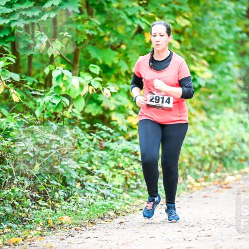 12.10.2025 - Bramfelder Halbmarathon 2025 Dr. Thomas Lammeyer http://msf.ph/oto/9343869 12.10.2025 10:01:02 Laufen 2914 meine-sportfotos.de
