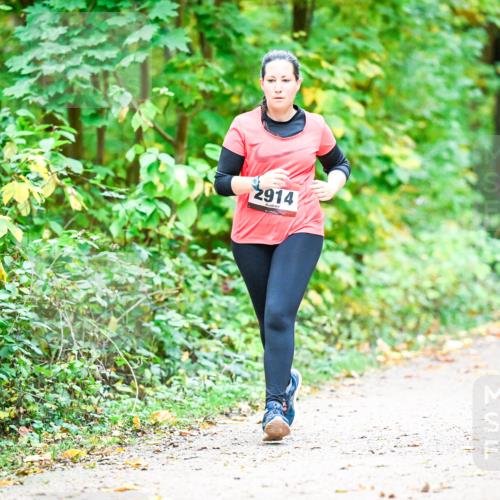 12.10.2025 - Bramfelder Halbmarathon 2025 Dr. Thomas Lammeyer http://msf.ph/oto/9343870 12.10.2025 10:01:03 Laufen 2914 meine-sportfotos.de