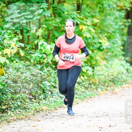 12.10.2025 - Bramfelder Halbmarathon 2025 Dr. Thomas Lammeyer http://msf.ph/oto/9343871 12.10.2025 10:01:03 Laufen 2914 meine-sportfotos.de