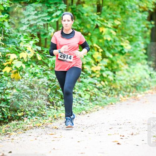 12.10.2025 - Bramfelder Halbmarathon 2025 Dr. Thomas Lammeyer http://msf.ph/oto/9343875 12.10.2025 10:01:04 Laufen 2914 meine-sportfotos.de
