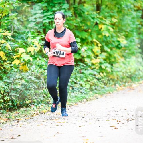 12.10.2025 - Bramfelder Halbmarathon 2025 Dr. Thomas Lammeyer http://msf.ph/oto/9343877 12.10.2025 10:01:04 Laufen 2914 meine-sportfotos.de