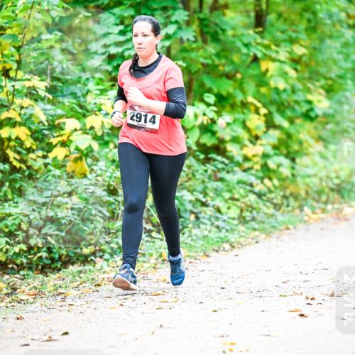 12.10.2025 - Bramfelder Halbmarathon 2025 Dr. Thomas Lammeyer http://msf.ph/oto/9343878 12.10.2025 10:01:04 Laufen 2914 meine-sportfotos.de