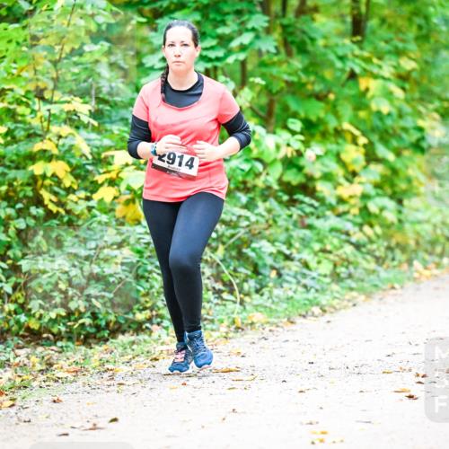 12.10.2025 - Bramfelder Halbmarathon 2025 Dr. Thomas Lammeyer http://msf.ph/oto/9343880 12.10.2025 10:01:04 Laufen 914 meine-sportfotos.de