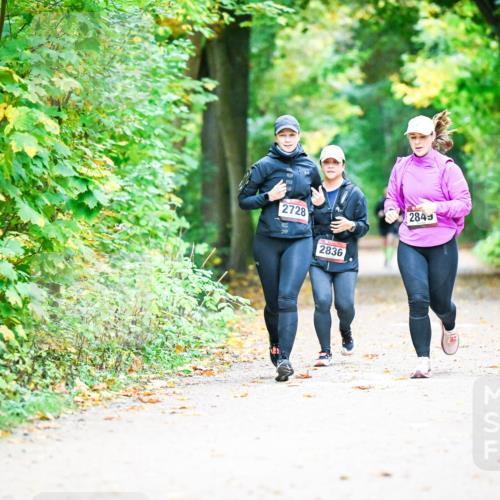 12.10.2025 - Bramfelder Halbmarathon 2025 Dr. Thomas Lammeyer http://msf.ph/oto/9343887 12.10.2025 10:01:17 Laufen 2728, 2836, 2849 meine-sportfotos.de