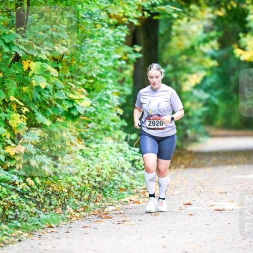 12.10.2025 - Bramfelder Halbmarathon 2025 Dr. Thomas Lammeyer http://msf.ph/oto/9344000 12.10.2025 10:02:23 Laufen 2920 meine-sportfotos.de