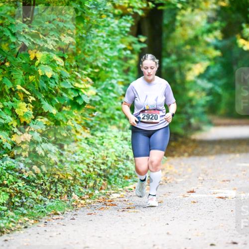 12.10.2025 - Bramfelder Halbmarathon 2025 Dr. Thomas Lammeyer http://msf.ph/oto/9344005 12.10.2025 10:02:24 Laufen 2920 meine-sportfotos.de