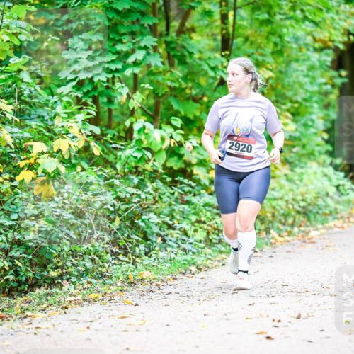 12.10.2025 - Bramfelder Halbmarathon 2025 Dr. Thomas Lammeyer http://msf.ph/oto/9344024 12.10.2025 10:02:27 Laufen 2920 meine-sportfotos.de