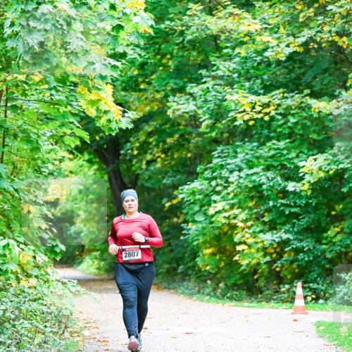 12.10.2025 - Bramfelder Halbmarathon 2025 Dr. Thomas Lammeyer http://msf.ph/oto/9344096 12.10.2025 10:04:29 Laufen 2807 meine-sportfotos.de