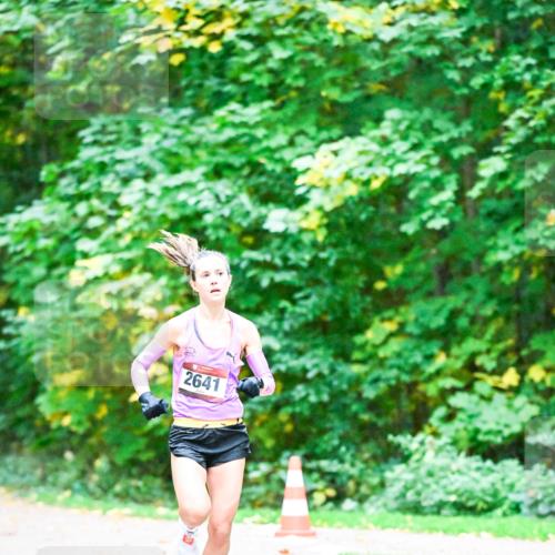 12.10.2025 - Bramfelder Halbmarathon 2025 Dr. Thomas Lammeyer http://msf.ph/oto/9344166 12.10.2025 10:05:42 Laufen 2641 meine-sportfotos.de