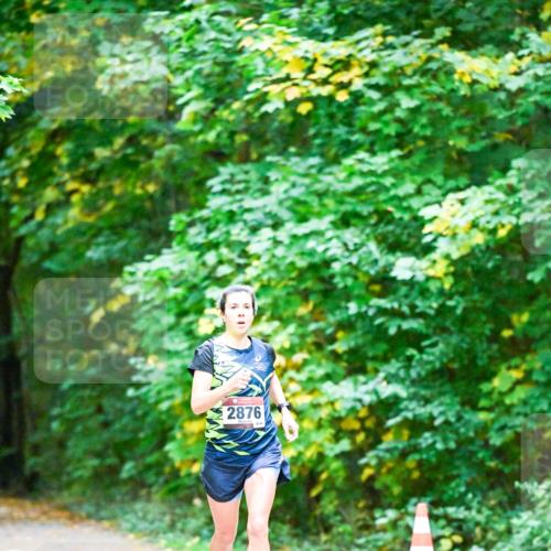 12.10.2025 - Bramfelder Halbmarathon 2025 Dr. Thomas Lammeyer http://msf.ph/oto/9344193 12.10.2025 10:06:31 Laufen 2876 meine-sportfotos.de