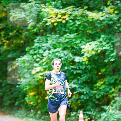 12.10.2025 - Bramfelder Halbmarathon 2025 Dr. Thomas Lammeyer http://msf.ph/oto/9344198 12.10.2025 10:06:31 Laufen 2876 meine-sportfotos.de