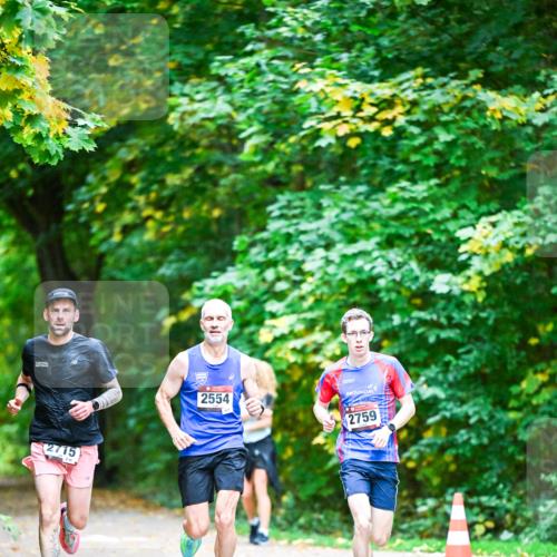 12.10.2025 - Bramfelder Halbmarathon 2025 Dr. Thomas Lammeyer http://msf.ph/oto/9344325 12.10.2025 10:08:26 Laufen 2715, 2554, 2759 meine-sportfotos.de