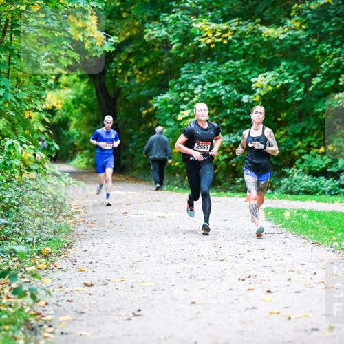 12.10.2025 - Bramfelder Halbmarathon 2025 Dr. Thomas Lammeyer http://msf.ph/oto/9344538 12.10.2025 10:10:58 Laufen 2955 meine-sportfotos.de