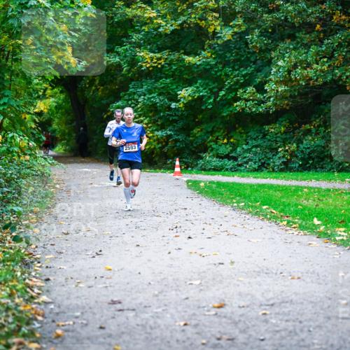 12.10.2025 - Bramfelder Halbmarathon 2025 Dr. Thomas Lammeyer http://msf.ph/oto/9344580 12.10.2025 10:11:12 Laufen 2593 meine-sportfotos.de
