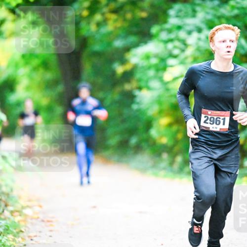 12.10.2025 - Bramfelder Halbmarathon 2025 Dr. Thomas Lammeyer http://msf.ph/oto/9344898 12.10.2025 10:13:00 Laufen 7, 2961, 70 meine-sportfotos.de