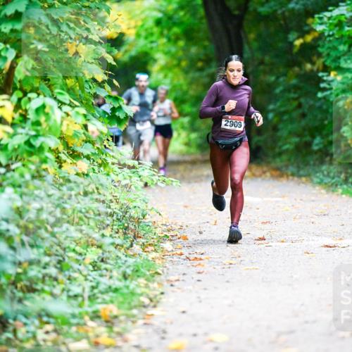 12.10.2025 - Bramfelder Halbmarathon 2025 Dr. Thomas Lammeyer http://msf.ph/oto/9344933 12.10.2025 10:13:22 Laufen 2909 meine-sportfotos.de