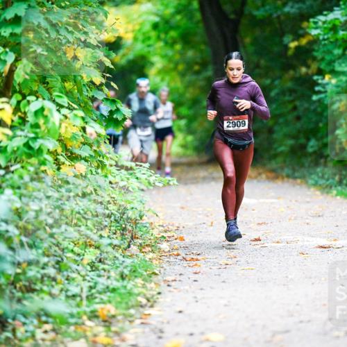 12.10.2025 - Bramfelder Halbmarathon 2025 Dr. Thomas Lammeyer http://msf.ph/oto/9344935 12.10.2025 10:13:22 Laufen 2909 meine-sportfotos.de