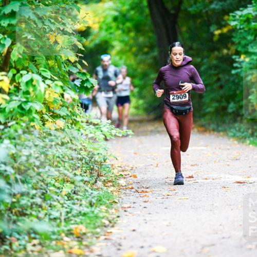 12.10.2025 - Bramfelder Halbmarathon 2025 Dr. Thomas Lammeyer http://msf.ph/oto/9344936 12.10.2025 10:13:22 Laufen 2909 meine-sportfotos.de